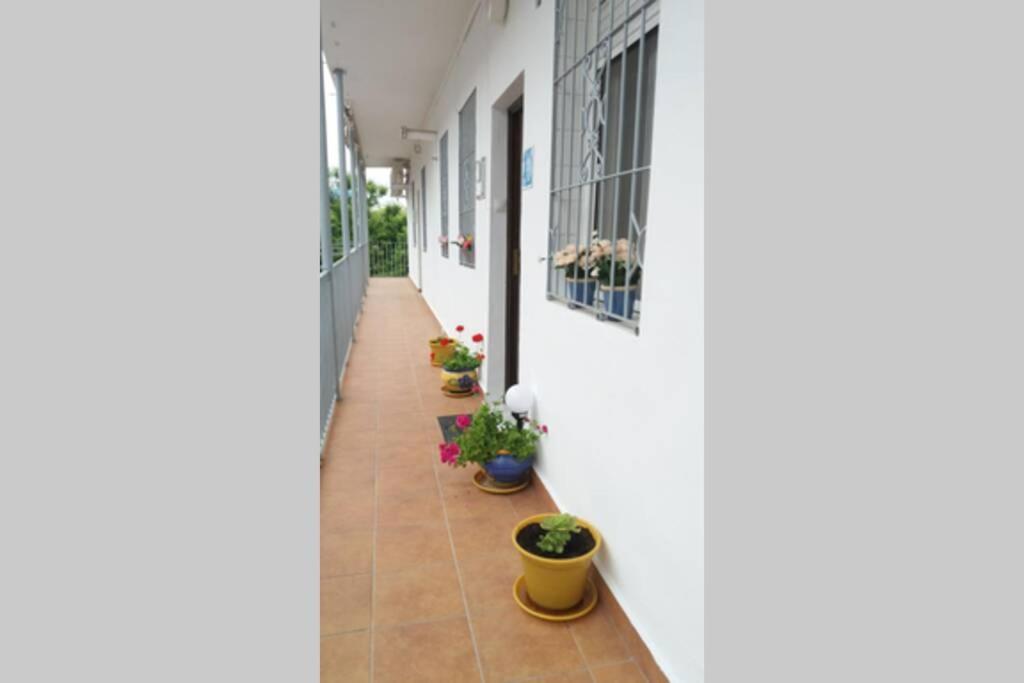 Apartamento Al-Zhára, junto Puente Romano Apartamento Córdova Exterior foto